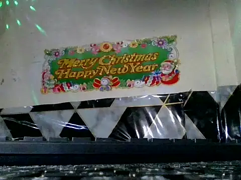 loriepinay46's web cam