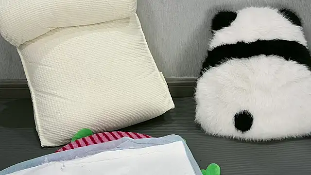 Fairy-HF's cam snapshot