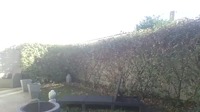 ApollonFit_x69's cam snapshot