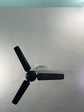 heenashai's cam snapshot