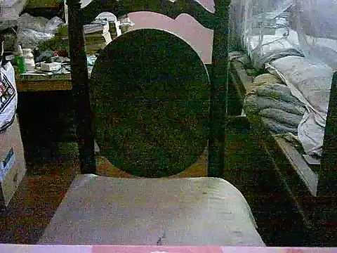 ckarmakar15 live sex cam