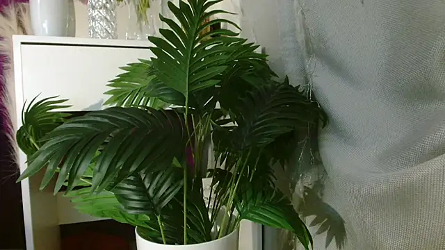 Imcarrieberry's cam snapshot