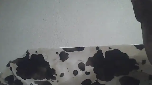 Zgodanilep's cam snapshot