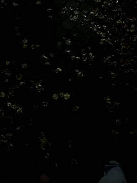 Jesssexboy's cam snapshot