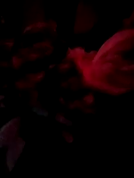 ySqmbVanbe's web cam