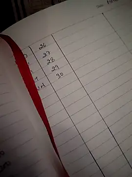 meenu_bhabhi547's cam snapshot