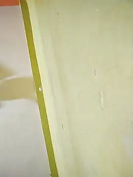 hootmom's cam snapshot