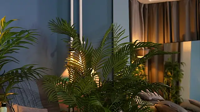 _keeti_'s cam snapshot