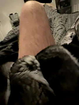 Furdale's cam snapshot