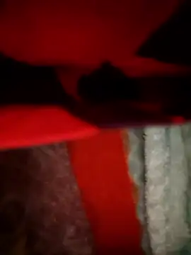 Ragner-6_9 live sex cam