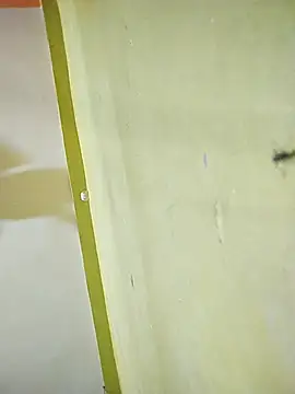 hootmom's cam snapshot