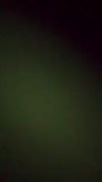 Lucu_'s cam snapshot