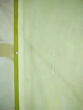 hootmom live sex cam