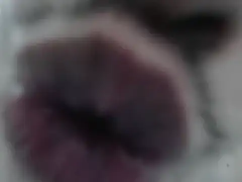 BigMontainsRock's cam snapshot