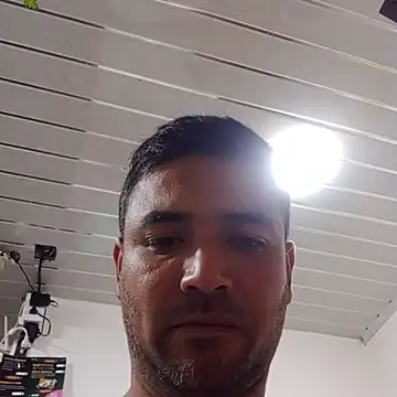 sexlocos live sex cam