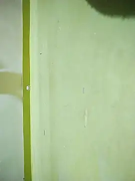 hootmom's cam snapshot