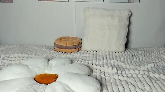 ShineRox's cam snapshot