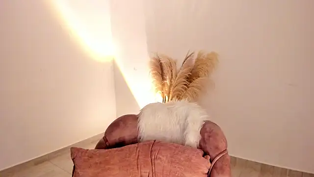 amelie_murphy_'s cam snapshot