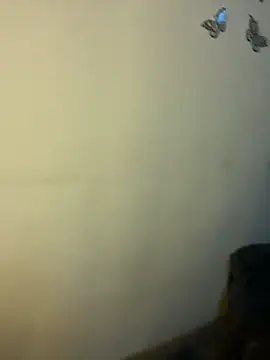 Kuromi_LS live sex cam