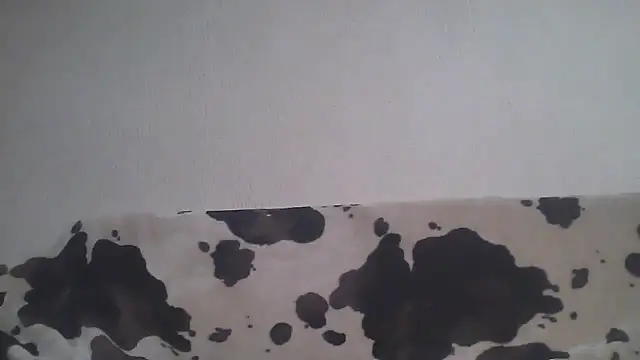 Zgodanilep live sex cam