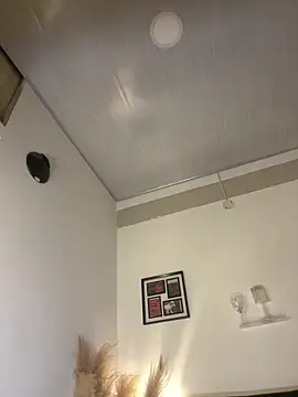 RedVelvet_Dream's cam snapshot