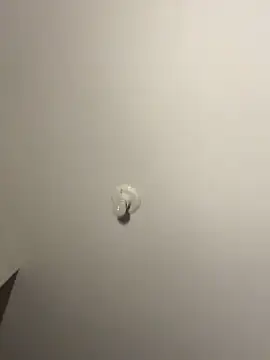 Soufeia live sex cam