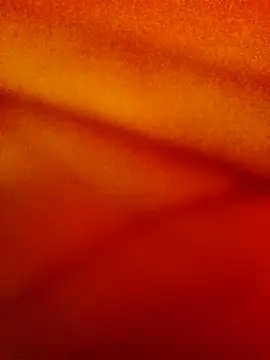 -Sahar's cam snapshot