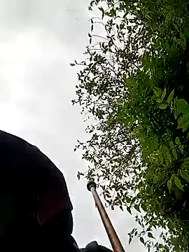 callistra live sex cam