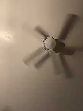 pmonie's cam snapshot