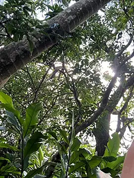 Zack2308tw live sex cam