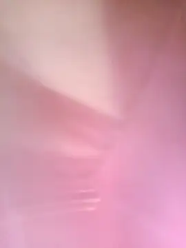 eva-2023's cam snapshot