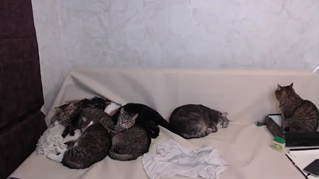 Olivia_Winston's cam snapshot