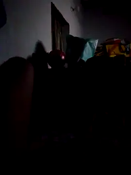 SALCEDO_041198's cam snapshot