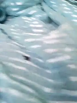 Hott_minesh's cam snapshot