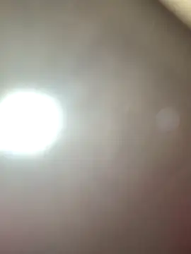 Megan2026 live sex cam