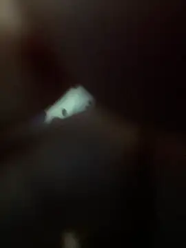 Piter14cm live sex cam