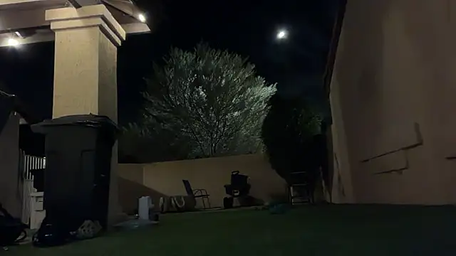 rusharizona live sex cam