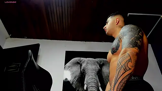 king_falconer's cam snapshot