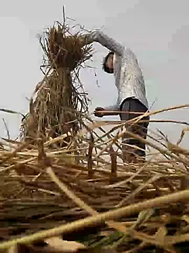 ThethunderPo live sex cam