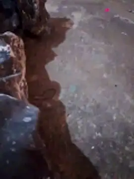 Orlao25cm live sex cam