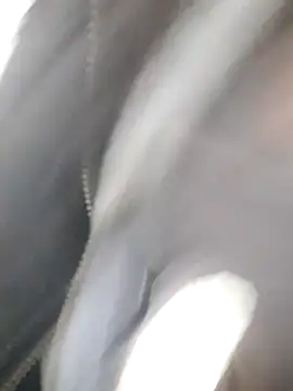 Hollywouldd's cam snapshot