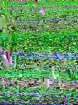 Tegui-sc's cam snapshot