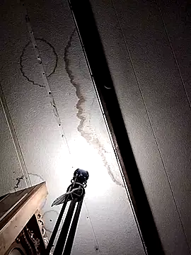 savhorseridecwby live sex cam