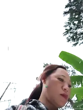 let-go's cam snapshot