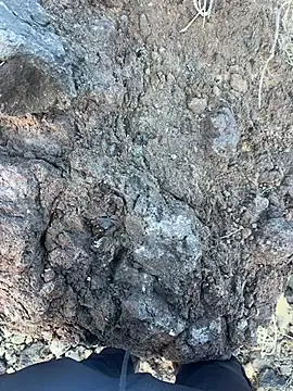 Rico1_1 live sex cam