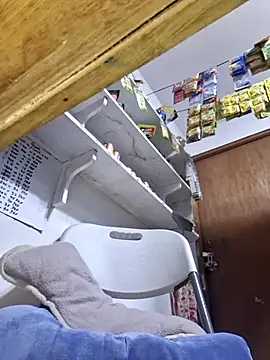 Loreanegel's cam snapshot