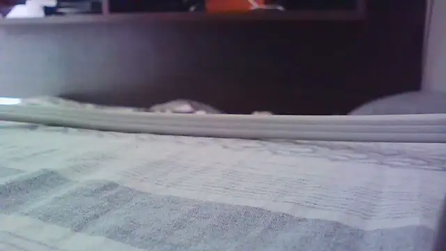 uberdot live sex cam