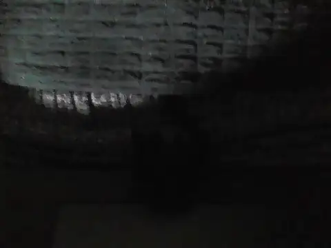 Stubborndesiboy's cam snapshot