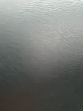 MisticWomen live sex cam