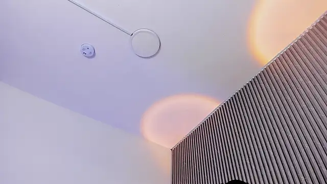 DAFNECOX's cam snapshot